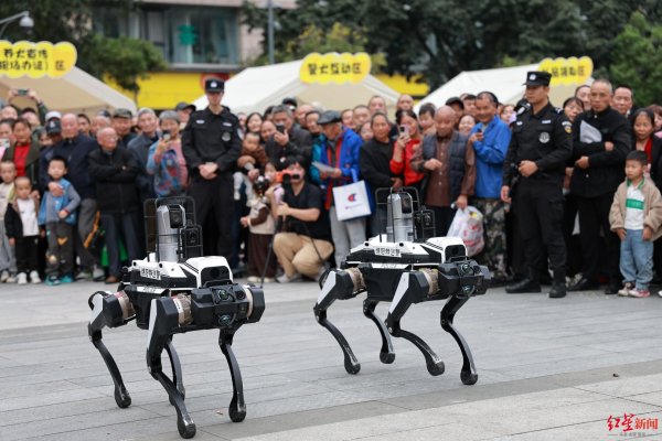 盛盈优配 警犬机器狗同台秀技，流浪犬待领养！绵阳这场文明养犬活动吸睛了